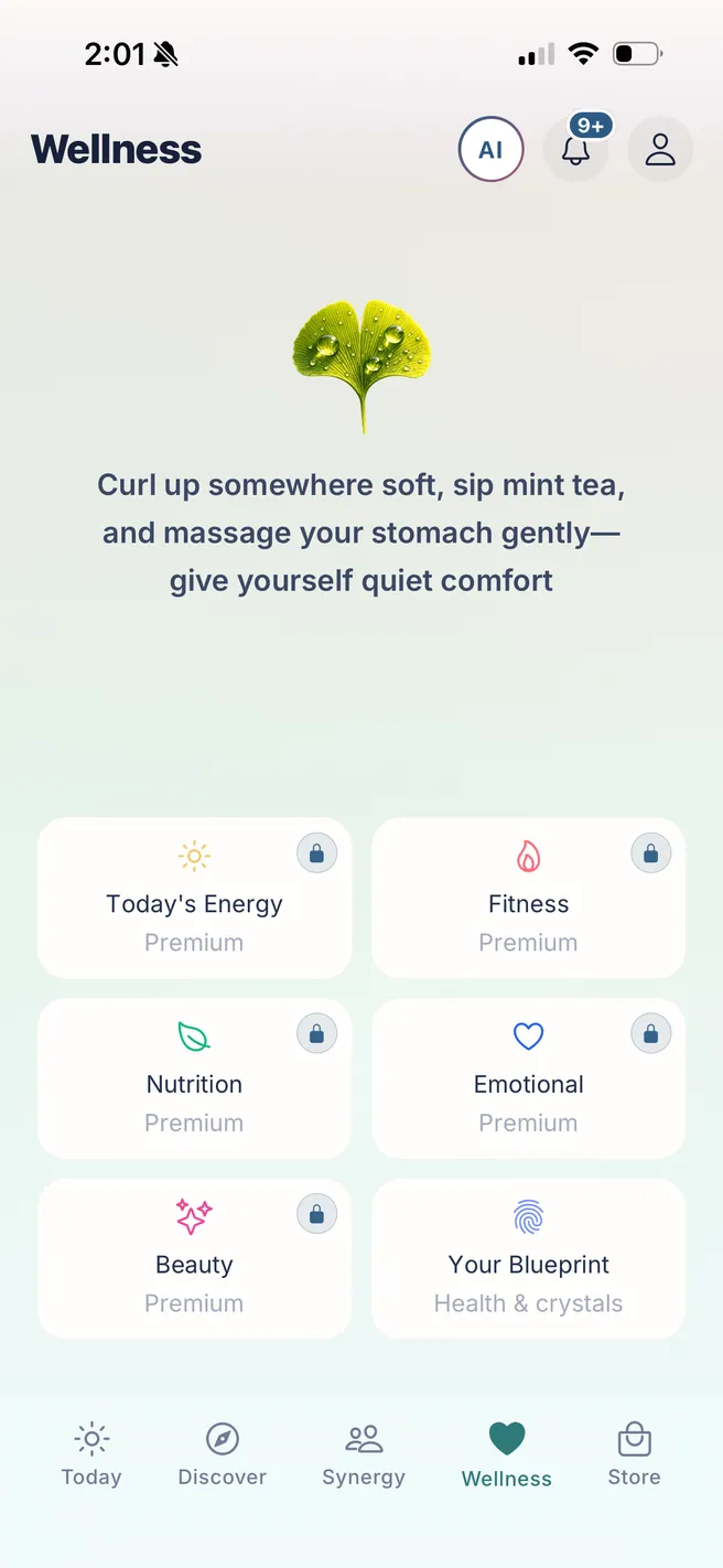Shymea Wellness — today's energy